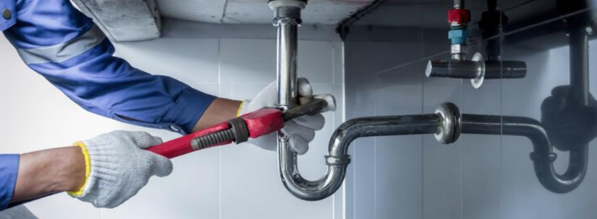 dgzr0yj2x1rmr0cw5w9sm6m79m